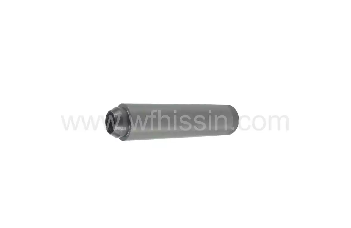 Valve Guide Exhaust